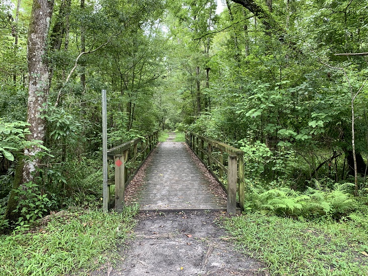 Julington Durbin Creek Preserve Jacksonville Florida