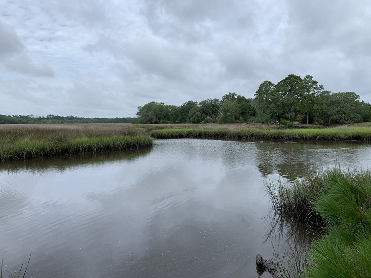 Bogey Creek Preserve Jacksonville Florida