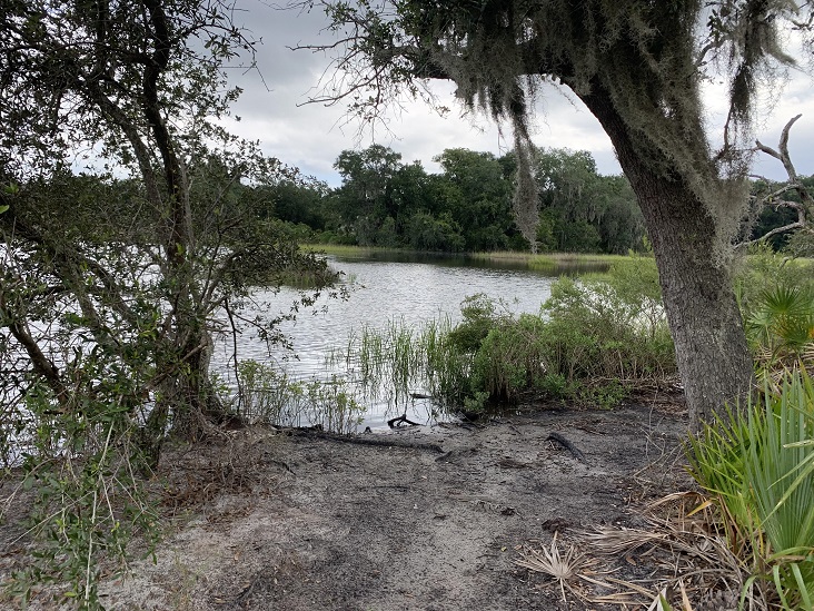 Dutton Island Preserve Jacksonville Florida