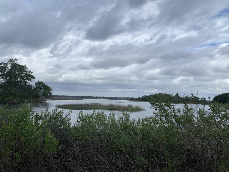 Dutton Island Preserve II Jacksonville Florida