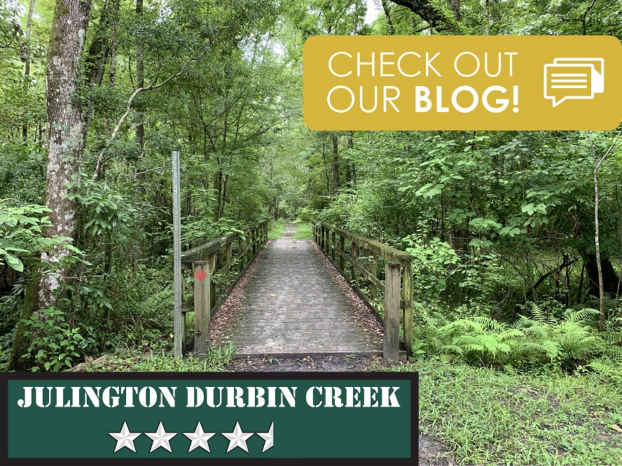 Julington Durbin Creek Preserve Jacksonville, FL