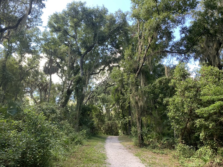 Willie Browne Trail Jacksonville Florida